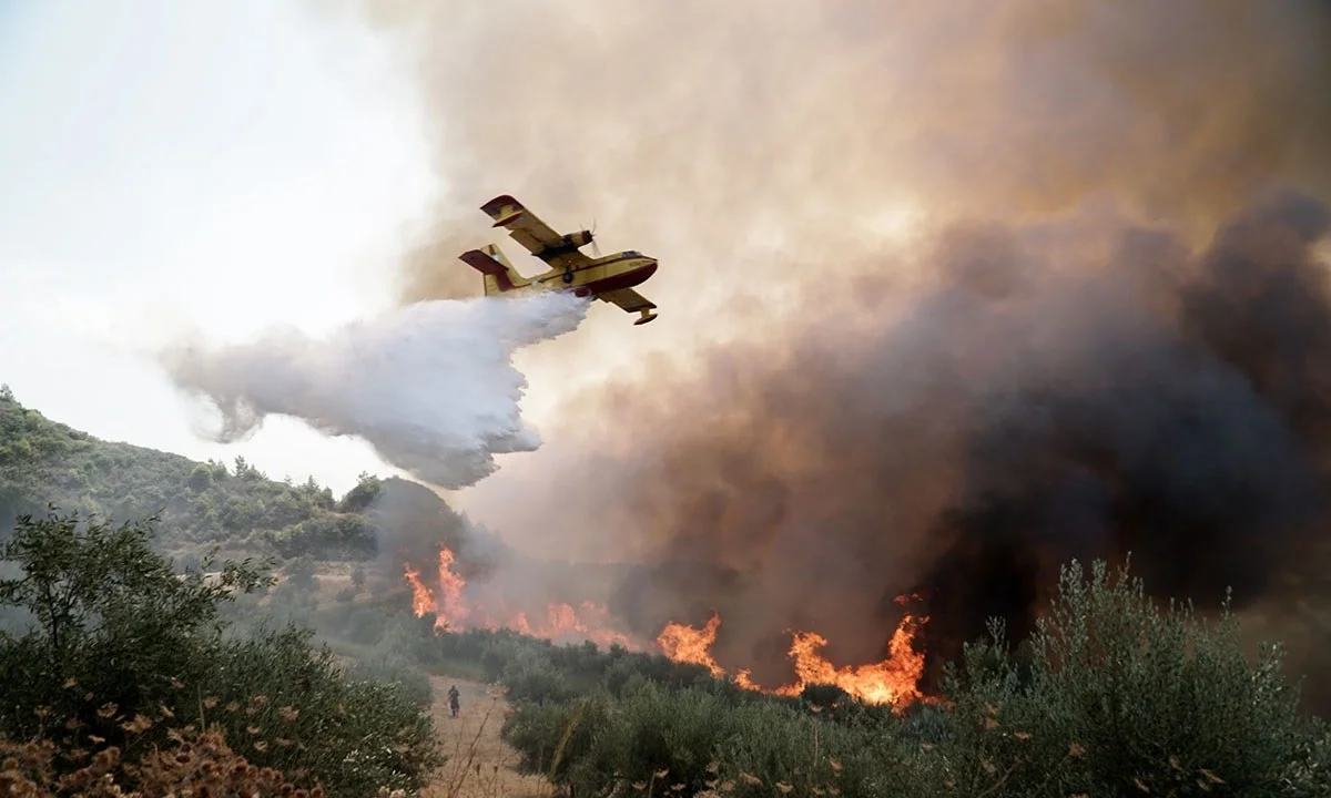 Φωτιές: Στις φλόγες η Ηλεία - Η ελπίδα στα εναέρια μέσα