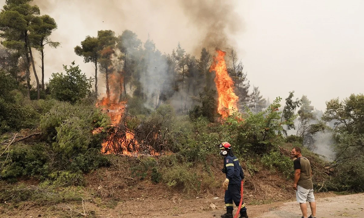 «Η φωτιά θα φτάσει στην Χαλκίδα» - Σκηνικό χάους στην Εύβοια