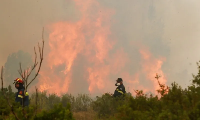 Φωτιά: Καίγεται το Κρυονέρι - Εκκενώνονται Μαλακάσα, Πολυδένδρι, Καπανδρίτι
