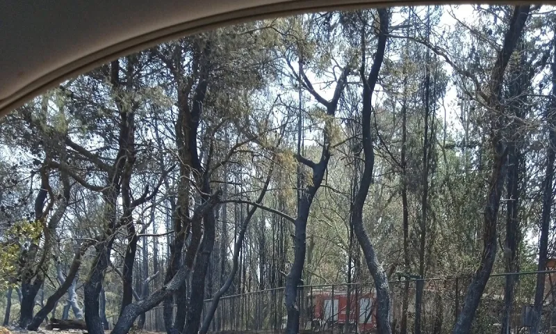 Φωτιές: Εξοργιστική καταγγελία για πυροσβεστικό όχημα παρκαρισμένο σε βίλα βιομηχάνου