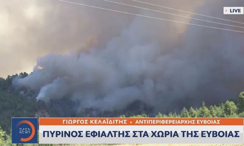 Φωτιά Ιστιαία - Αιδηψός: «Μας άφησαν πέντε μέρες στο έλεος του Θεού - Θα κάψουν τα πάντα γιατί;»