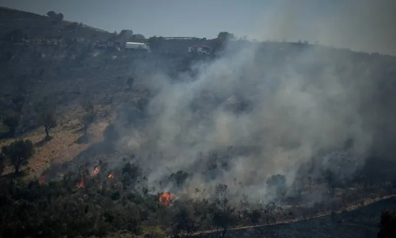 Φωτιές Εύβοια: Απίστευτη Καταγγελία! Κόβουν εισιτήρια στον κόσμο για να τον διασώσουν με φέρι μποτ στο Πευκί