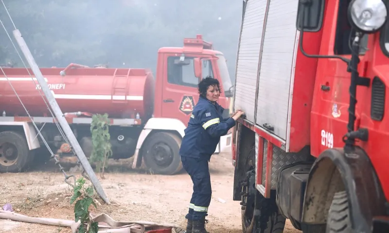 Φωτιά Εύβοια - Μήνυμα από το112: «Εκκενώστε τις Μηλιές Ευβοίας προς Ιστιαία»