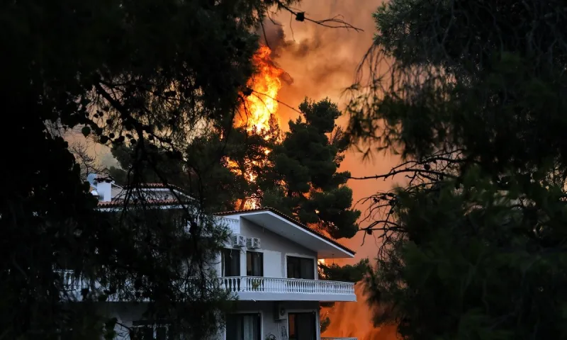 Παρέμβαση εισαγγελέα για την δικηγόρο που προσευχόταν να καεί η Εκάλη και το Καστρί