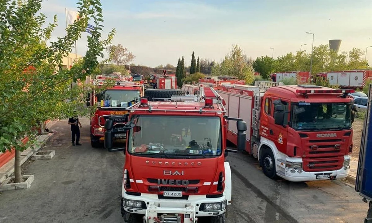 Φωτιές: 2,5 ώρες είχαν στα σύνορα τους Ρουμάνους πυροσβέστες για... τεστ Covid