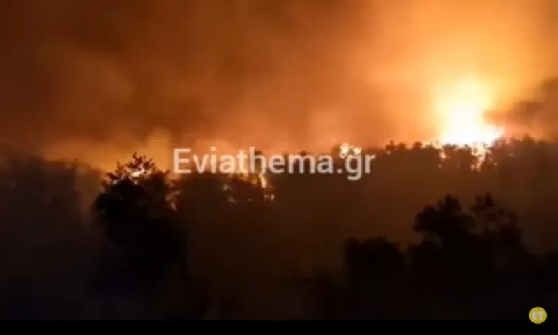 Φωτιά στην Εύβοια: Νέα νύχτα τρόμου - Κινδυνεύουν τα Ελληνικά, κάηκαν σπίτια στα Βασιλικά