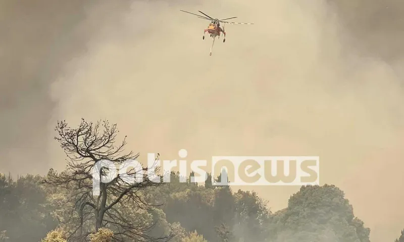 Φωτιά στην Ηλεία: «Αποκαΐδια πάνω από 200.000 στρέμματα» - «Αν φεύγαμε θα καιγόντουσαν τα σπίτια μας»