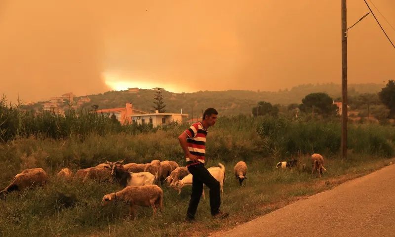 Φωτιά Εύβοια: Έβαλαν φωτιά στον Ταξιάρχη - Ήταν εμπρησμός λένε