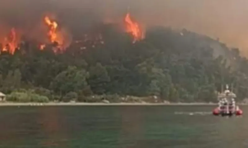 Φωτιά - Εύβοια: Κουτσούμπρι, επίνειο Αγριοβότανου - Έκκληση για βοήθεια