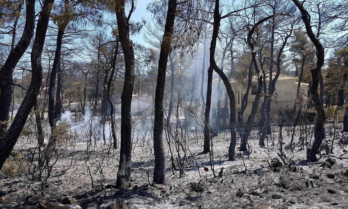 Φωτιές - Εκπρόσωπος φορέα Διαχείρισης Πάρνηθας: Τι οδήγησε στη μεγάλη πυρκαγιά