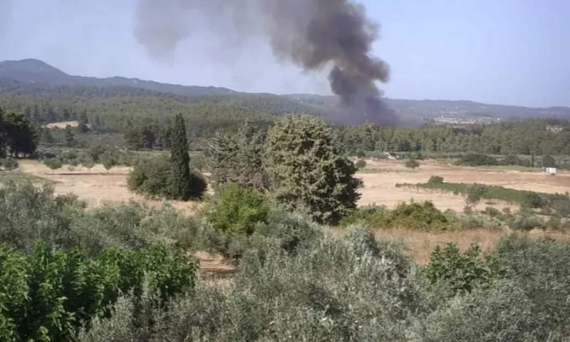 Φωτιά Εύβοια: Δείτε το ξεκίνημα της πυρκαγιάς - Η μικρή φωτιά που έγινε πύρινη λαίλαπα