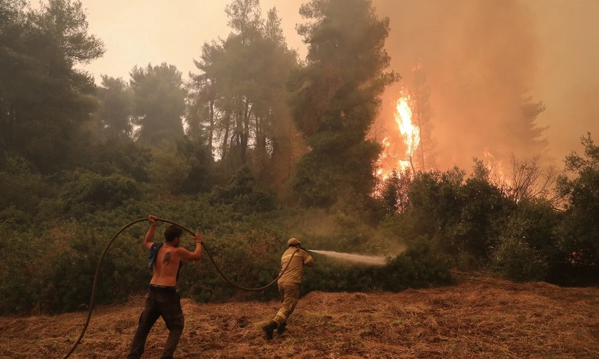 Φωτιά Εύβοια: Σε απόγνωση οι κάτοικοι - «Θα καούμε ζωντανοί - Στείλτε αμέσως εναέρια μέσα»