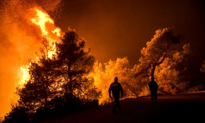Φωτιά Εύβοια: Έπιασαν και άλλο ύποπτο εμπρηστή - Κάτοικοι είχαν βρει γκαζάκια στο δάσος