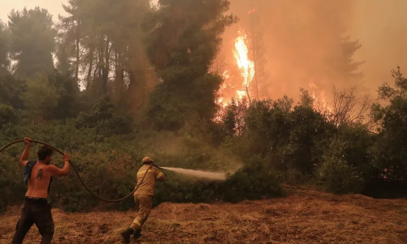 Ειδική Επιτροπή Εμπειρογνωμόνων της Ακαδημίας Αθηνών για τα δάση - Πού θα δράσει πρώτα