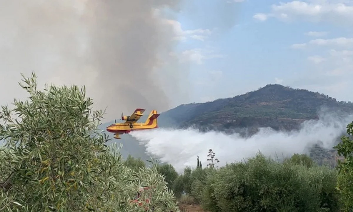 Φωτιές: Πύρινη κόλαση στη Γορτυνία - Παλεύουν και τα εναέρια μέσα