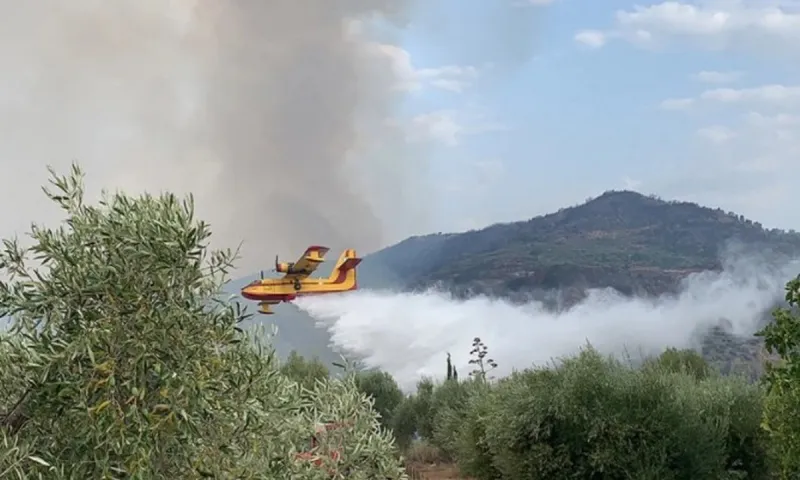 Φωτιές: Πύρινη κόλαση στη Γορτυνία - Παλεύουν και τα εναέρια μέσα