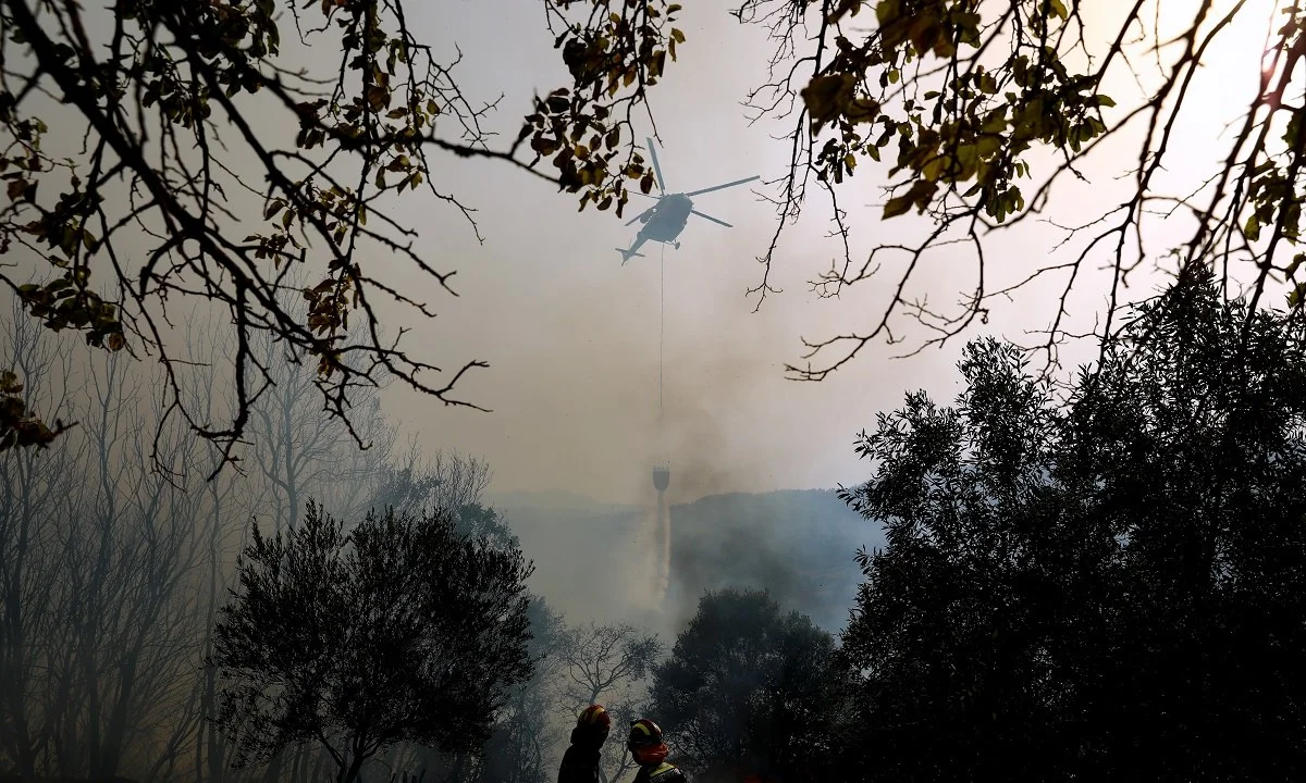 Φωτιά - Ηλεία: Καταγγελίες δημάρχων και κατοίκων για τις φωτιές