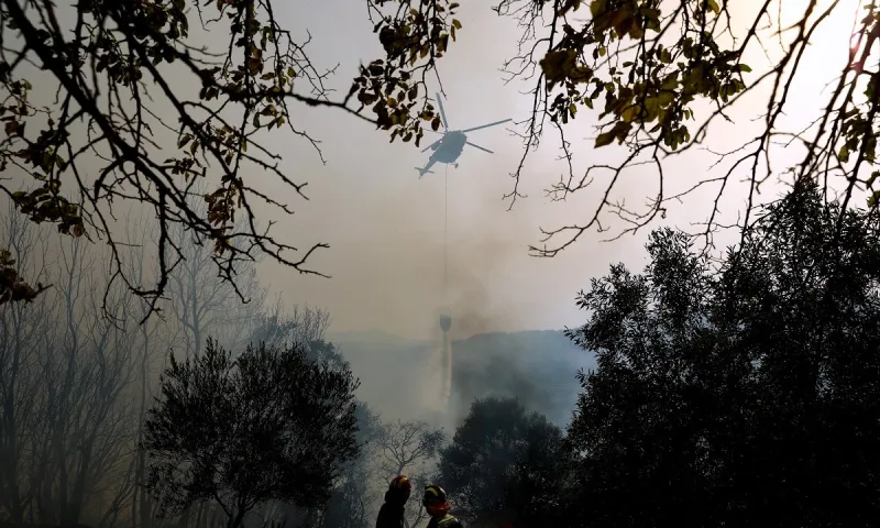 Φωτιά - Ηλεία: Καταγγελίες δημάρχων και κατοίκων για τις φωτιές