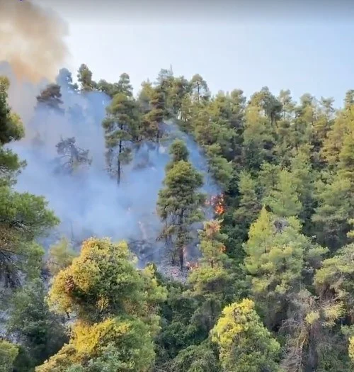 Χαλκιδική: Υπό μερικό έλεγχο η φωτιά στη Σιθωνία
