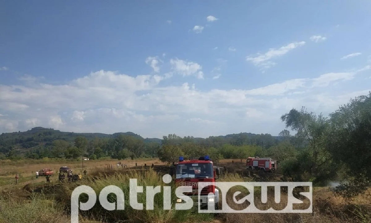 Φωτιά στην Αρχαία Ολυμπία: Κατευθύνεται στον αρχαιολογικό χώρο