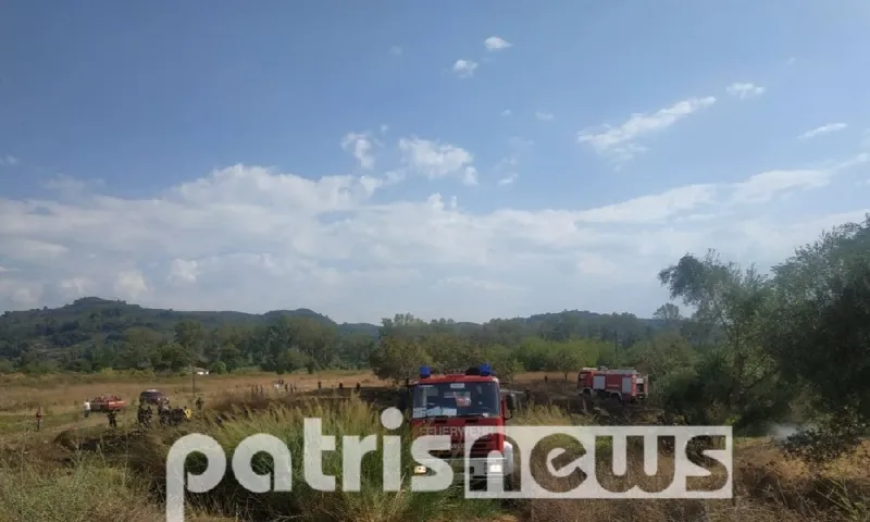 Φωτιά στην Αρχαία Ολυμπία: Κατευθύνεται στον αρχαιολογικό χώρο