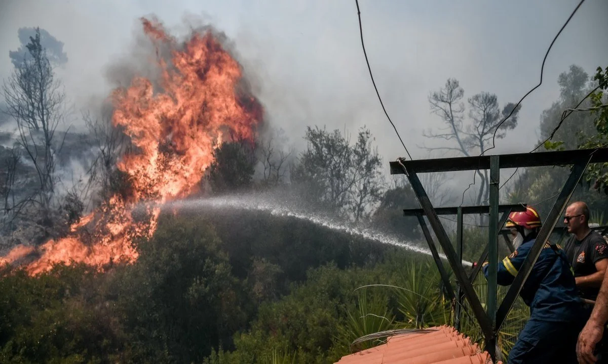 Φωτιά Βίλια: Μεγάλη η μάχη με τις φλόγες - Συνεχείς οι αναζωπυρώσεις