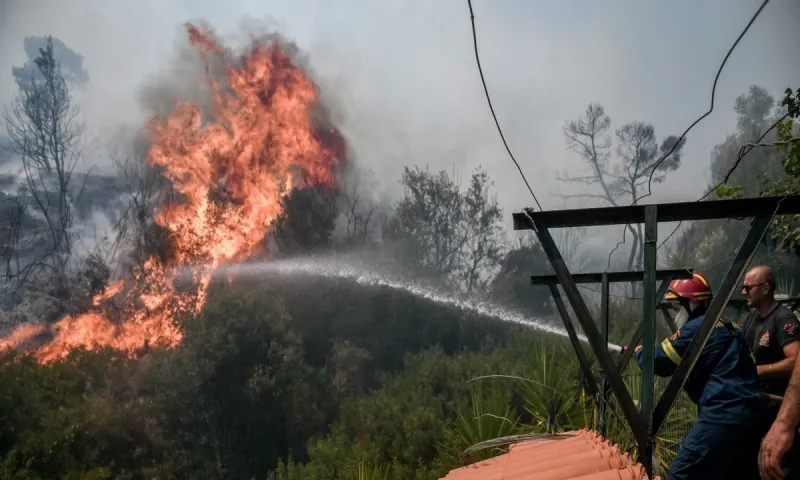 Φωτιά Βίλια: Μεγάλη η μάχη με τις φλόγες - Συνεχείς οι αναζωπυρώσεις