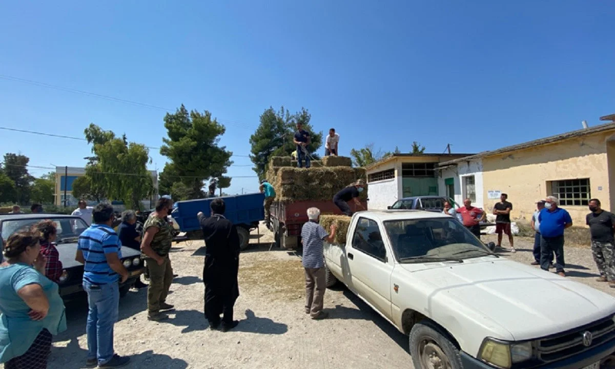 Φωτιές: Η ενορία του Αγίου Αντωνίου Άνω Πατησίων πήγε στη Βόρεια Εύβοια και πρόσφερε βοήθεια