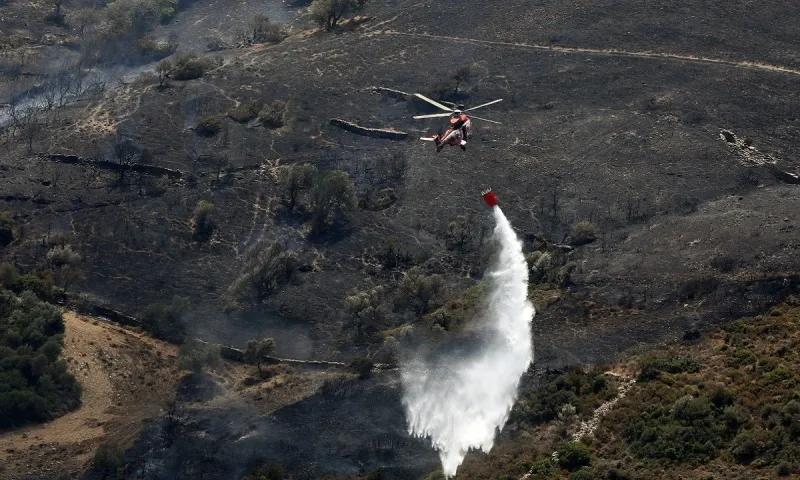 Φωτιές: 30 χρόνια θα χρειαστεί να ανακάμψει η ελληνική μελισσοκομία