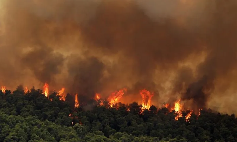 Φωτιές: Σεσημασμένοι εμπρηστές πίσω από Βίλια και Τατόι