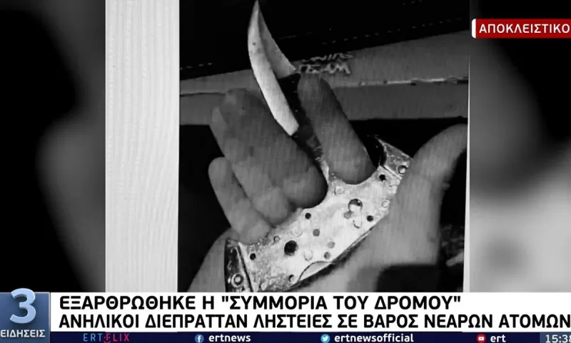 Συμμορία του δρόμου: Σοκαριστικά πλάνα από την επίδειξη οπλοστασίου και κλοπιμαίων (vid)