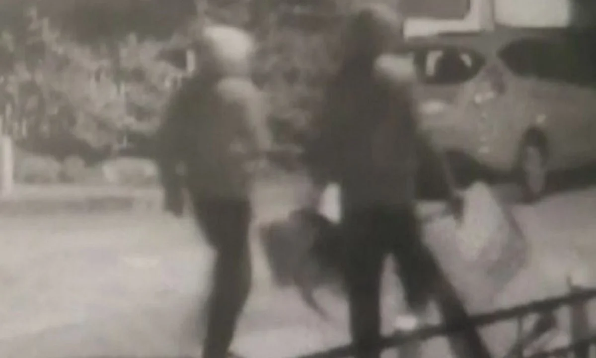 Θεσσαλονίκη: Σοκάρει το βίντεο με τον δολοφόνο του υπάλληλου ψιλικατζίδικου στην Τούμπα!