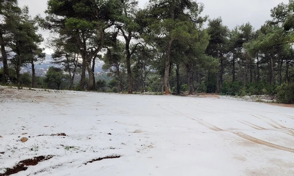 Καιρός: Ο Σάκης Αρναούτογλου αναλύει με κάθε λεπτομέρεια τα καιρικά φαινόμενα των επόμενων ημερών στο δελτίο καιρού της ΕΡΤ3.