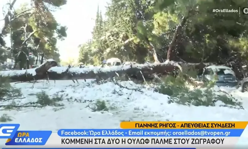 Κομμένη στα δύο η Ούλωφ Πάλμε στου Ζωγράφου