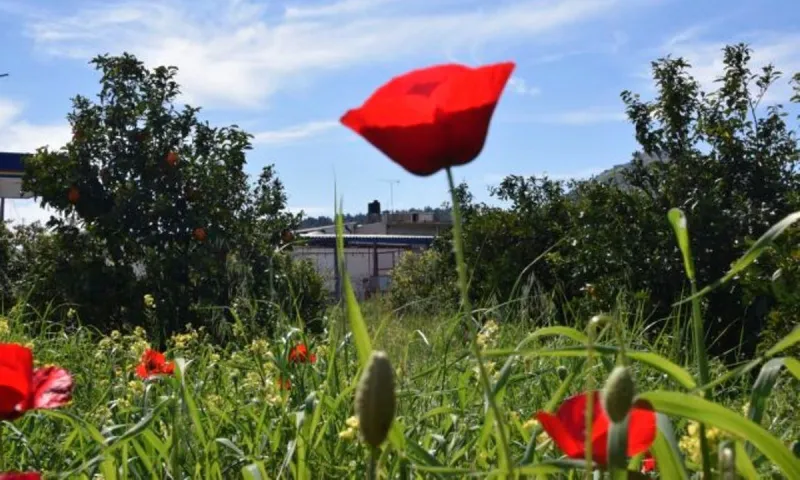 Καιρός - Πάσχα 2022: Η πρώτη εκτίμηση για την Μεγάλη Εβδομάδα και το Πάσχα
