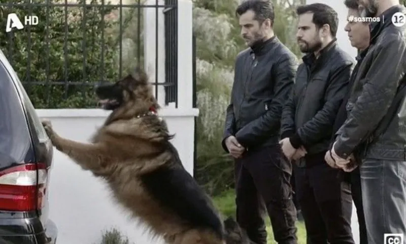 Σασμός επόμενα επεισόδια: Ανατριχίλα! - Ο Πετρής «επιστρέφει» από τον τάφο και αγκαλιάζει τη Μανταρίνα