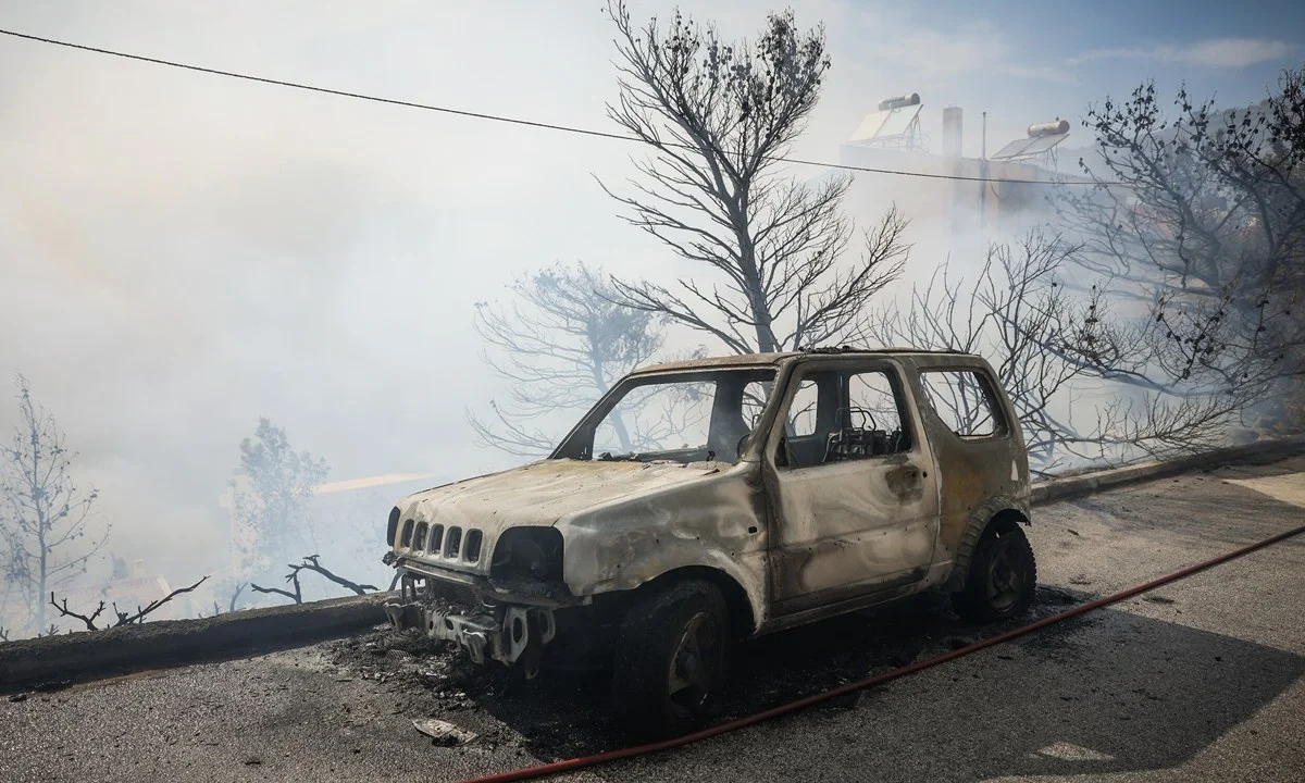 O πρόεδρος εργαζομένων ΔΕΔΔΗΕ, είπε πως ένα... πουλί ήταν η αιτία του ξεκινήματος της πυρκαγιάς στον υποσταθμό της ΔΕΗ στη Βούλα.