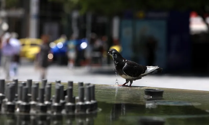Καιρός (24/7): «Ψήνεται» όλη η χώρα - Μέχρι και στους 42 βαθμούς η θερμοκρασία!