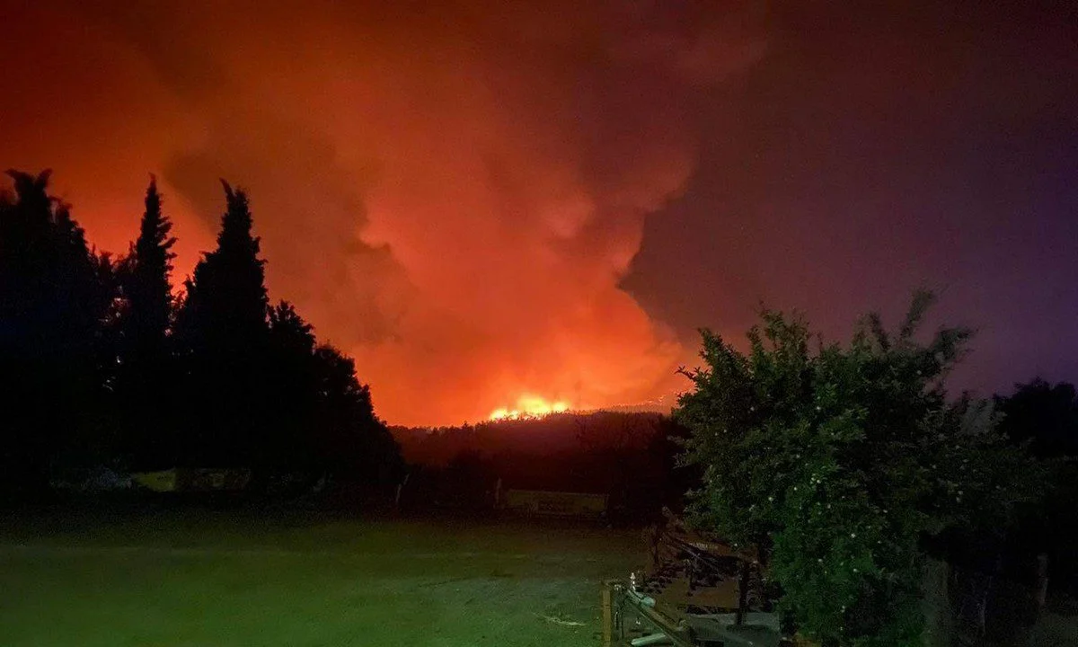 Φωτιά στον Έβρο: Ασύλληπτη η καταστροφή στο δάσος της Δαδιάς - Καίγεται για 4η μέρα το Εθνικό πάρκο
