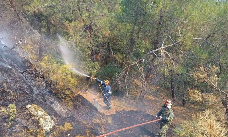 Φωτιά στον Έβρο: Σοκ - Οδυνηρή οικολογική καταστροφή στη Δαδιά