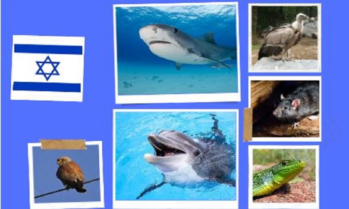 Οι λεγόμενες «ζωολογικές θεωρίες συνωμοσίας» που αναπτύσσονται σε χώρες με μουσουλμανική πλειοψηφία. Κατασκοπεύουν υπέρ του Ισραήλ».