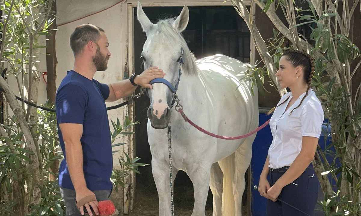 Άγρια Γη επόμενα επεισόδια: Ο Στέφανος ζητά από την Όλγα να διώξει τον Άρη - Ο Άρης απειλεί Ελπίδα και Όλγα