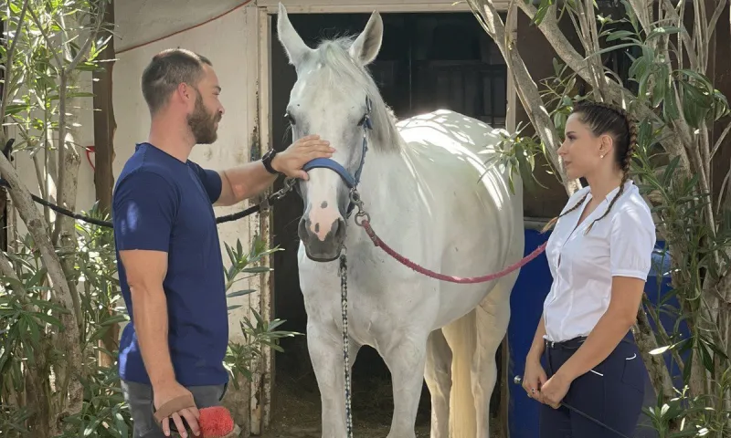 Άγρια Γη επόμενα επεισόδια: Ο Άρης απειλεί Ελπίδα και Όλγα - Ο Στέφανος ζητά από την Όλγα να διώξει τον Άρη