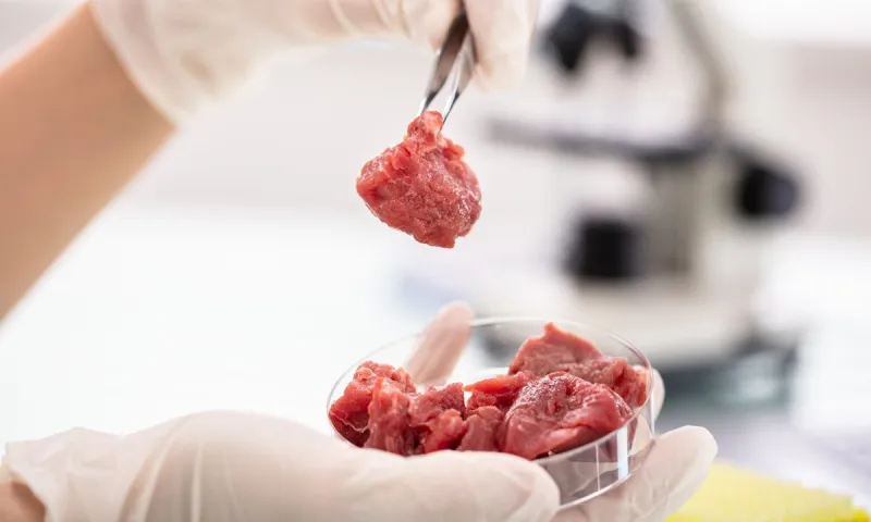 Η Νέα Τάξη φέρνει τις κρεατόμαζες: O FDA ενέκρινε το «εργαστηριακό κοτόπουλο» - Σερβιρίστηκε στην διάσκεψη του ΟΗΕ για το κλίμα