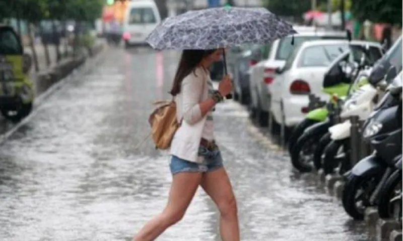 Καιρός με συννεφιά και βροχές τη Δευτέρα (28/11) - Πέφτει η θερμοκρασία (vid)