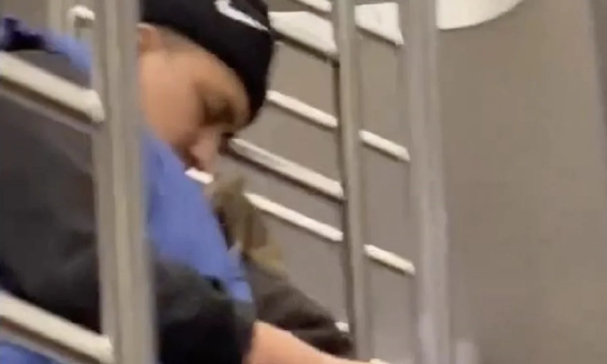 Viral: Απίστευτο, και όμως αμερικάνικο! Τεράστιο ποντίκι εμφανίστηκε και ξεκίνησε να περπατά πάνω σε επιβάτη στο μετρό της Νέας Υόρκης.