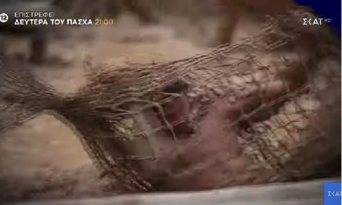 Survivor All Star trailer 17/4: Τη Δευτέρα του Πάσχα θα έχουμε το νέο επεισόδιο του Survivor All Star. Επιστρέφει με ακόμη μεγαλύτερη ένταση.