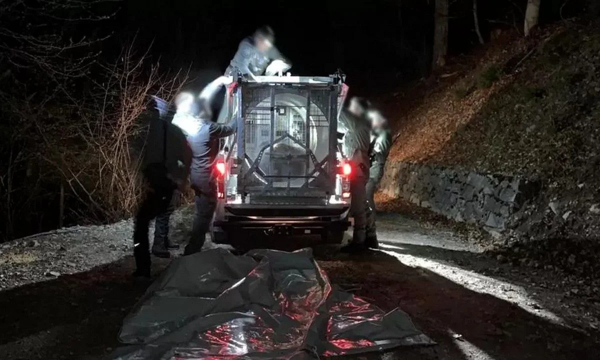 Αρκούδα σκότωσε τζόγκερ κι αιχμαλωτίστηκε στην Ιταλία