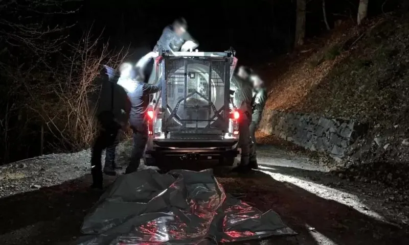 Αρκούδα σκότωσε τζόγκερ στις Άλπεις κι αιχμαλωτίστηκε - Πρέπει να θανατωθεί;