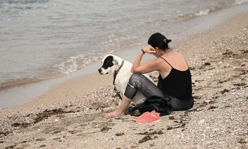 Καιρός: Αγγίζει τους 30 βαθμούς η θερμοκρασία